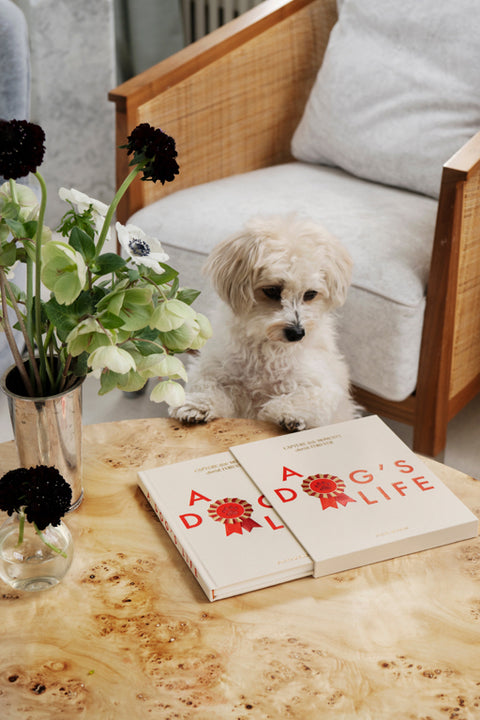 Printworks Dog Journal - A Dog's Life