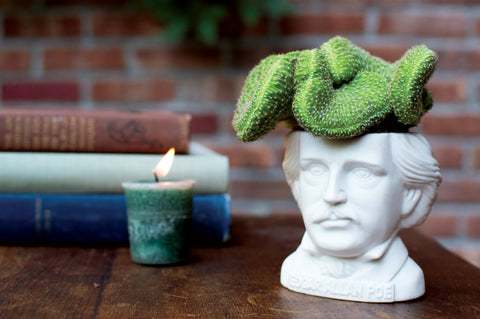 UPG Plantenpot - Edgar Allan Poe