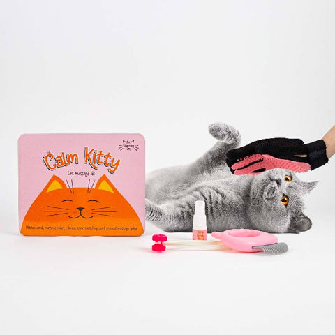 Gift Republic Massage kit - Cat