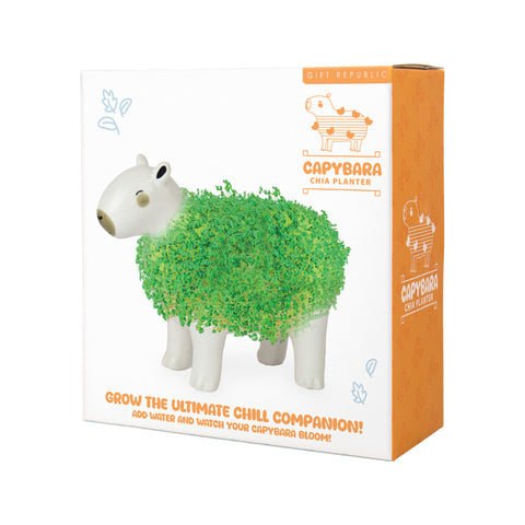 Gift Republic Plantenpot met chiazaden - Capybara