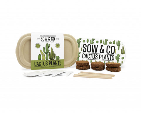 Gift Republic Sow & Co Kweekset - Cactus Plants