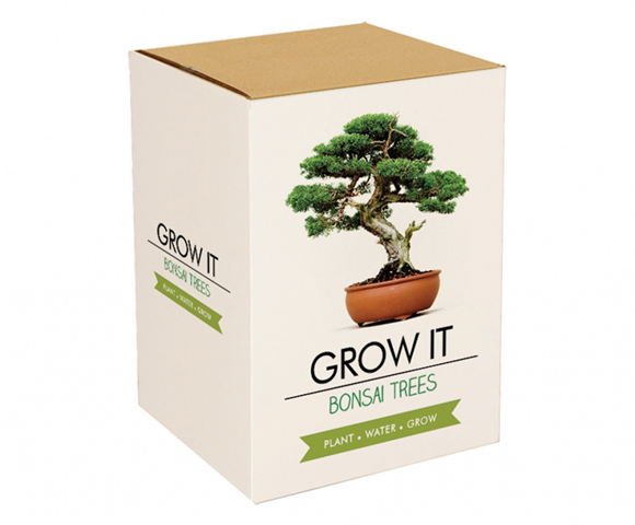 Product image 1 of Gift Republic Bonsai Trees