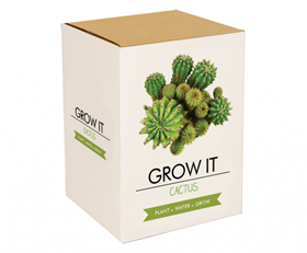 Image of Gift Republic Cactus Plants