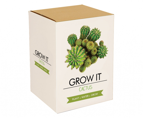 Product image 1 of Gift Republic Cactus Plants