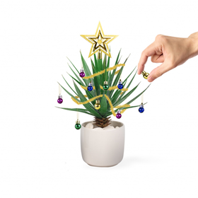 Image of Gift Republic Festive Plant Baubles