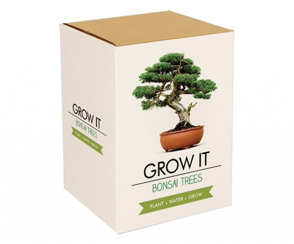 Product image 1 of Gift Republic Grow It Kweekset - Bonsai Trees