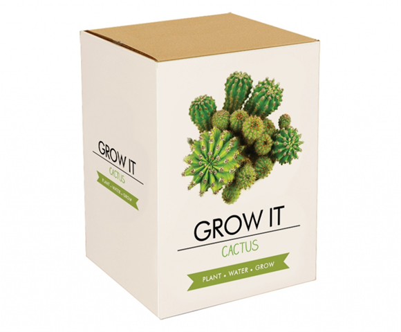 Product image 1 of Gift Republic Grow It Kweekset - Cactus Plants
