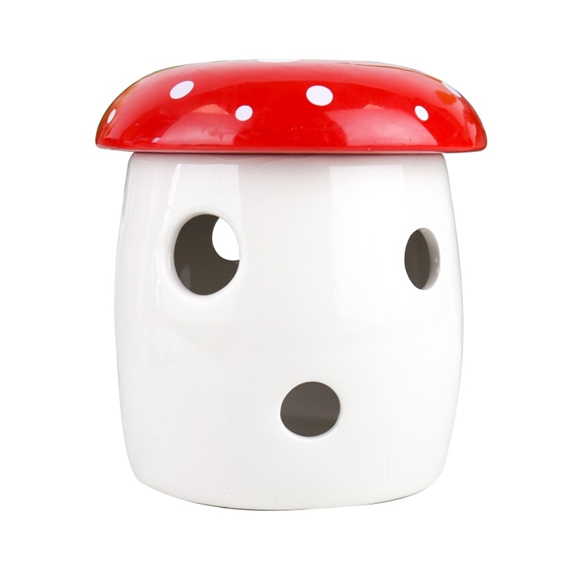 Product image 1 of Gift Republic Grow It Kweekset - Mushroom