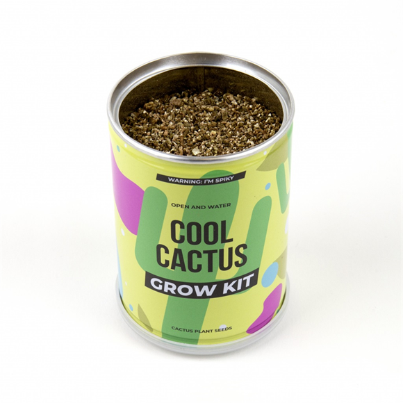 Product image 1 of Gift Republic Kweekset - Cool Cactus Tin