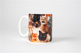 Afbeelding van Gift Republic Mok - Crazy Cat Lady