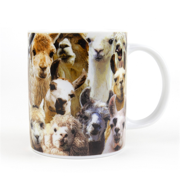 Product image 1 of Gift Republic Mok - No Prob Llama