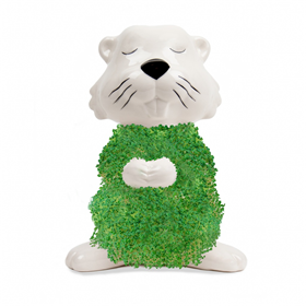 Afbeelding van Gift Republic Plantenpot met chiazaden - Hairy Beaver