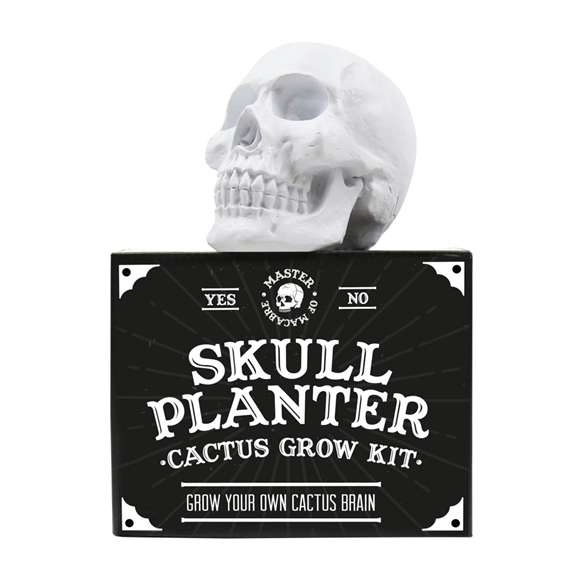 Product image 1 of Gift Republic Plantenpot - Skull Planter Cactus
