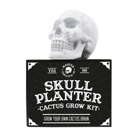 Image of Gift Republic Skull Planter Cactus