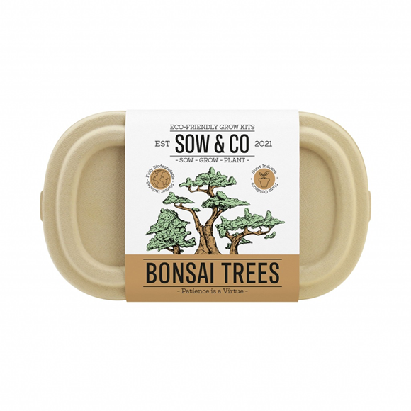 Product image 1 of Gift Republic Sow & Co Kweekset - Bonsai Trees