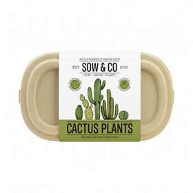 Afbeelding van Gift Republic Sow & Co Kweekset - Cactus Plants
