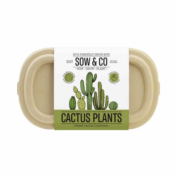 Product image 1 of Gift Republic Sow & Co Kweekset - Cactus Plants