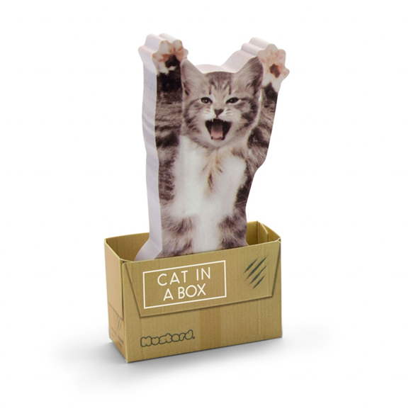 Product image 1 of Mustard Post-it - Cat In A Box
