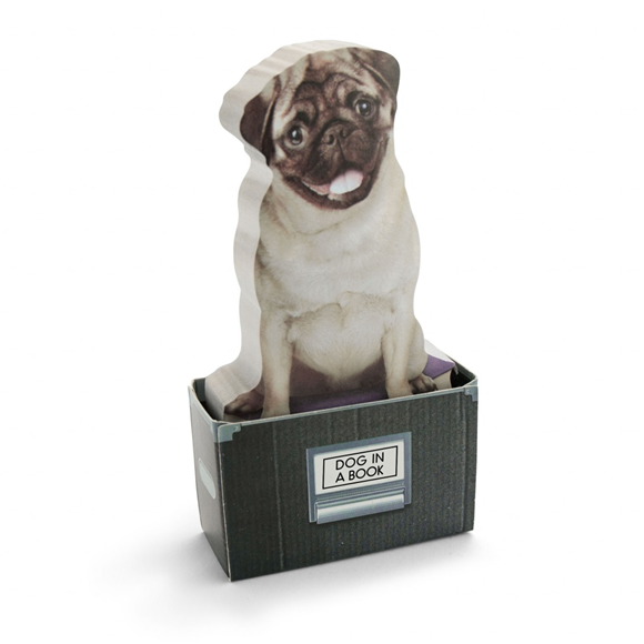 Product image 1 of Mustard Post-it - Dog In A Box