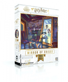 Image of New York Puzzle Company Mirror of Erised - 1000 pieces