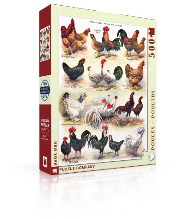 Product image 1 of New York Puzzle Company Poules ~ Poultry - 500 pieces