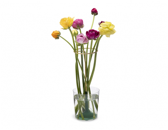 Product image 1 of Peleg Design Bloemstandaard Invisivase