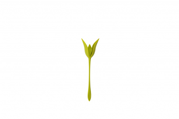 Product image 1 of Peleg Design Servethouders Bloom set van 4