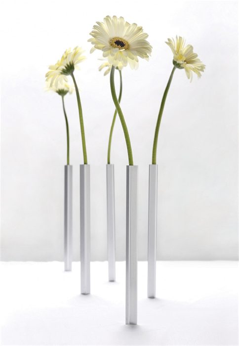 Product image 1 of Peleg Design Vaas magnetisch set van 5 - Zilver