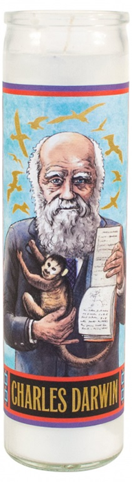 Product image 1 of UPG Kaars - Charles Darwin