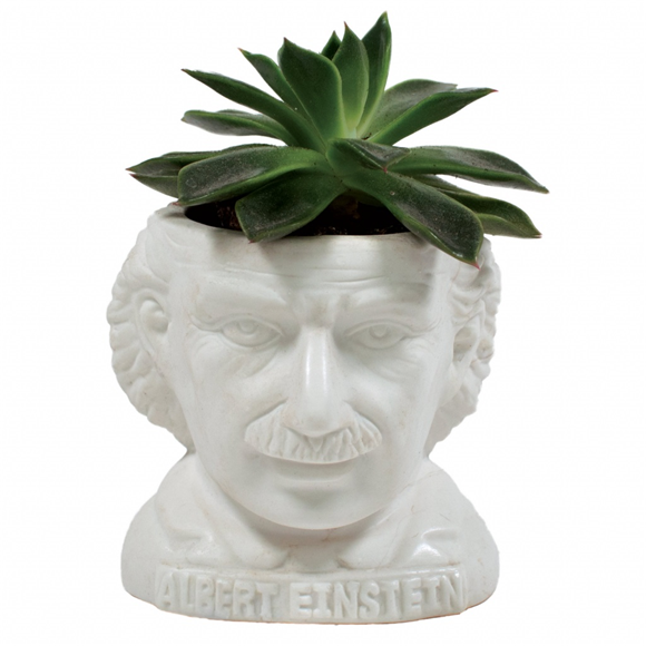 Product image 1 of UPG Planter - Albert Einstein